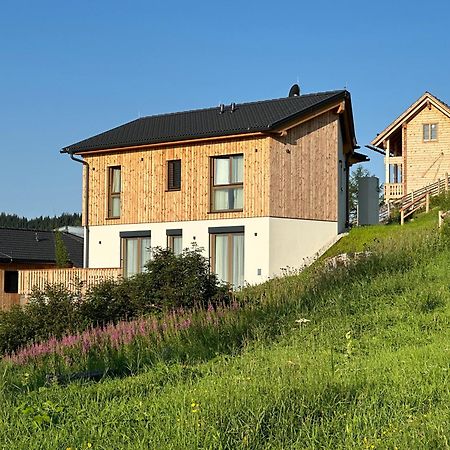 Berglisl - Direkt An Der Schipiste! Neue Ferienwohnung Mit Sauna Klippitztorl Экстерьер фото