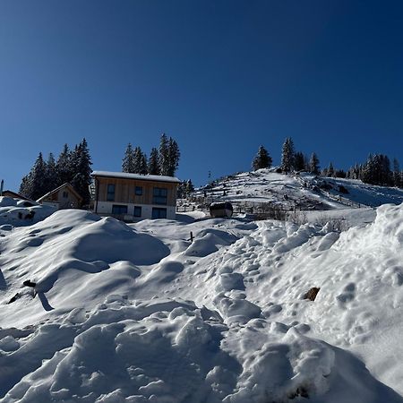 Berglisl - Direkt An Der Schipiste! Neue Ferienwohnung Mit Sauna Klippitztorl Экстерьер фото