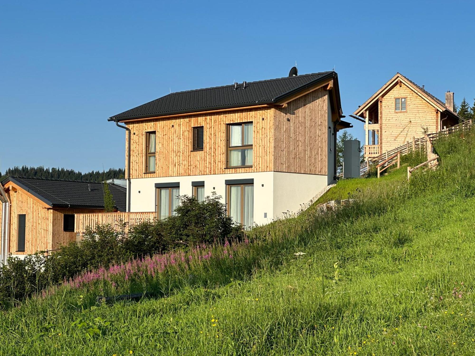 Berglisl - Direkt An Der Schipiste! Neue Ferienwohnung Mit Sauna Klippitztorl Экстерьер фото