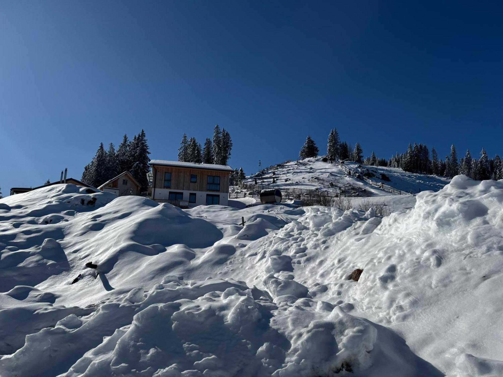 Berglisl - Direkt An Der Schipiste! Neue Ferienwohnung Mit Sauna Klippitztorl Экстерьер фото