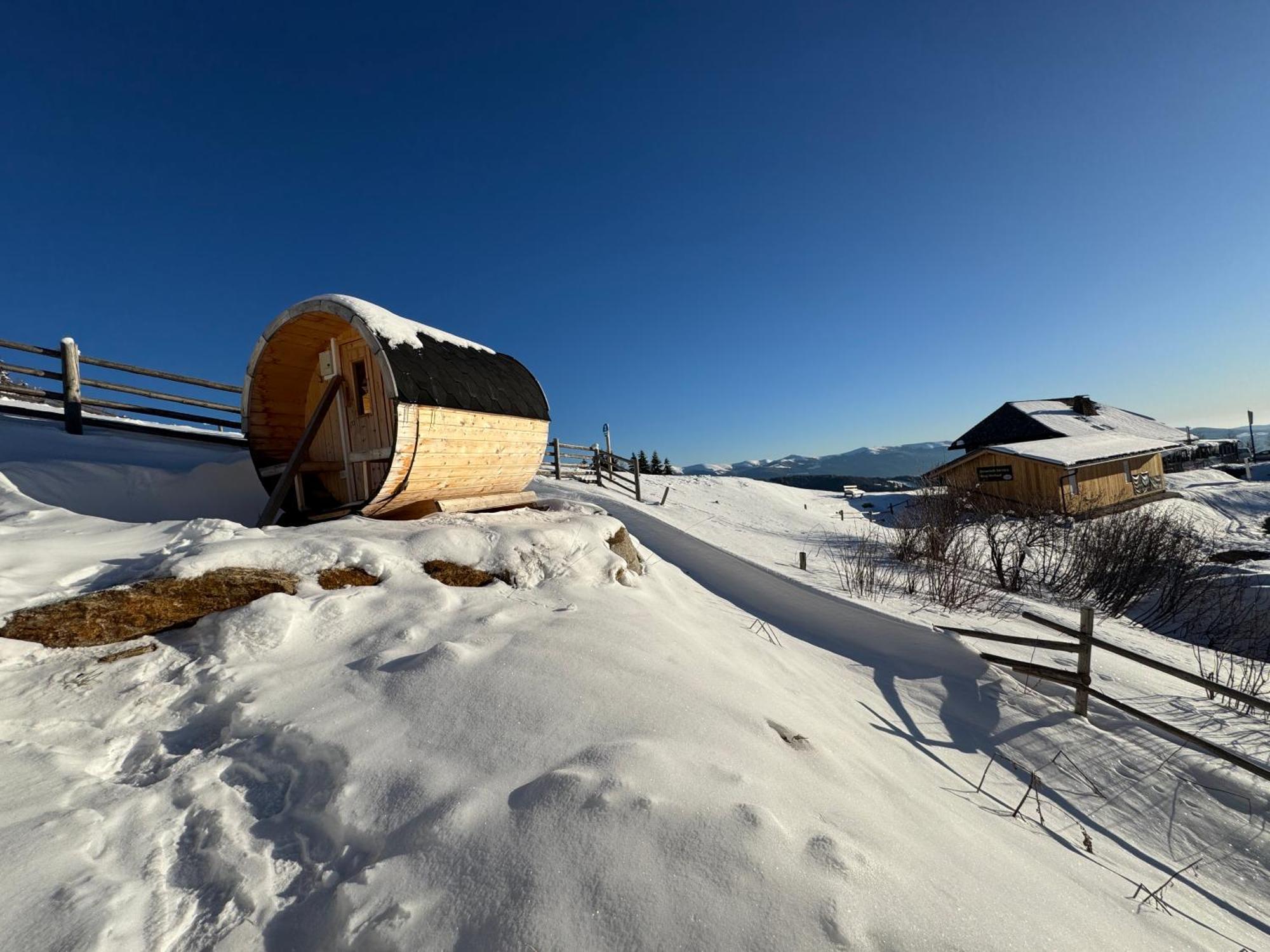 Berglisl - Direkt An Der Schipiste! Neue Ferienwohnung Mit Sauna Klippitztorl Экстерьер фото